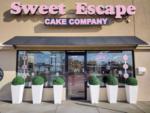 window painting Indianapolis