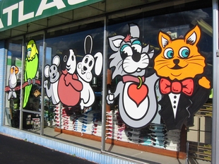 window painting Buffalo