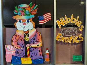 window painting Roswell